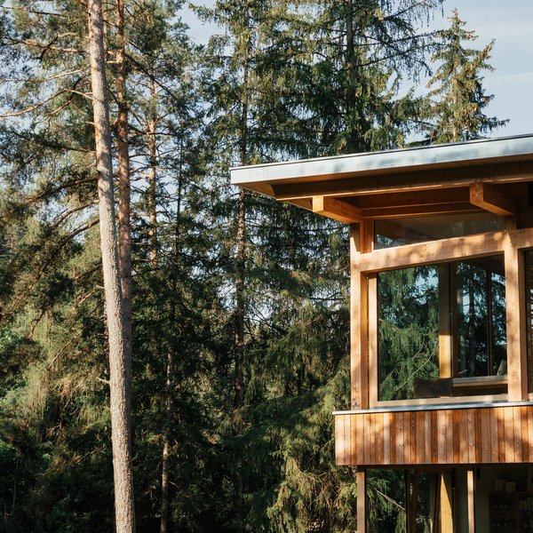 Sensoria Soulmates – Creating Memories of Bliss Wooden house with large windows surrounded by tall trees in the forest